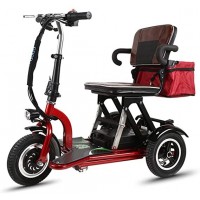 Scooter électrique Tricycle